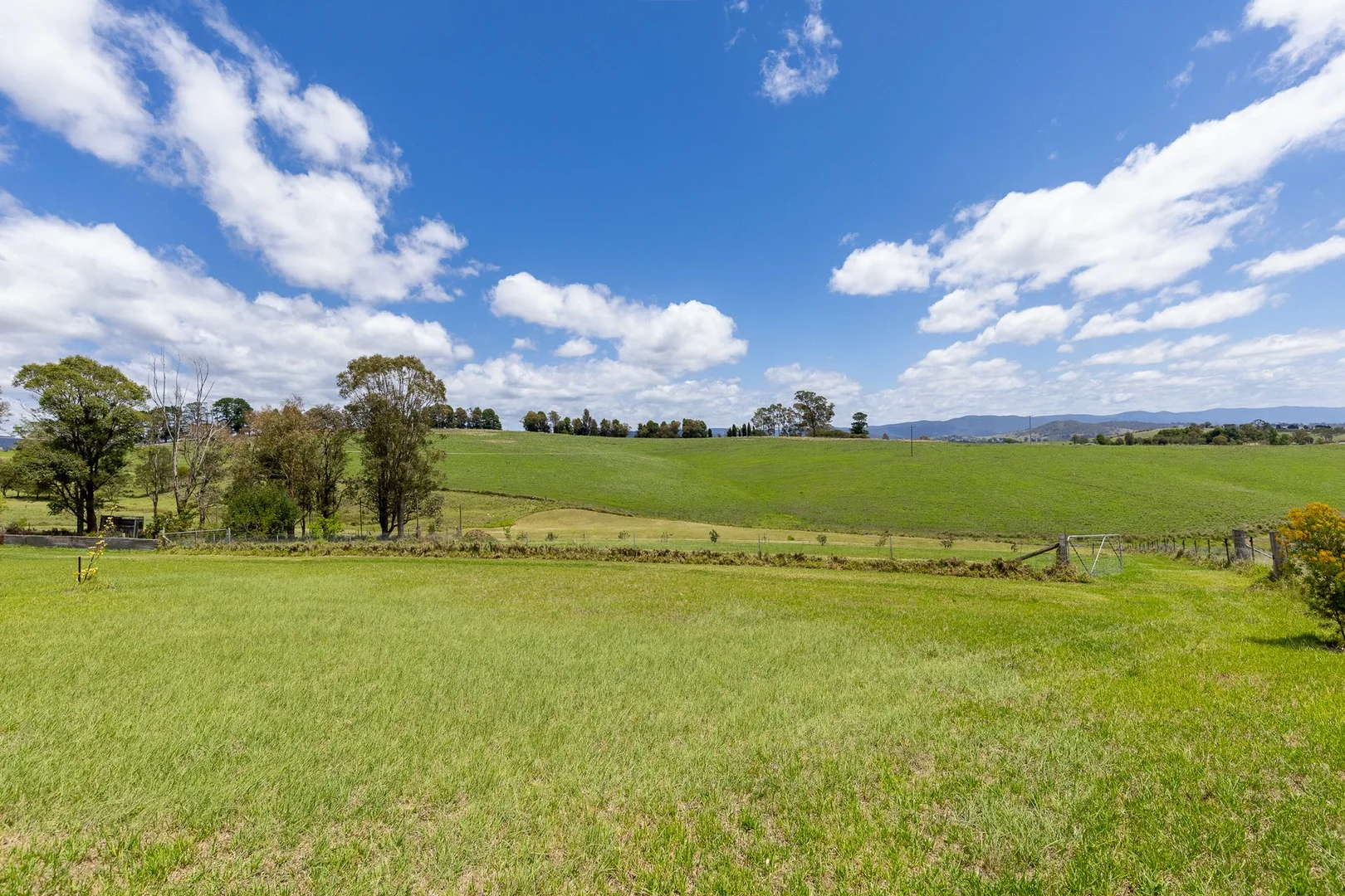 Additional image 31 of 371 Towridgee Lane, Candelo NSW 2550