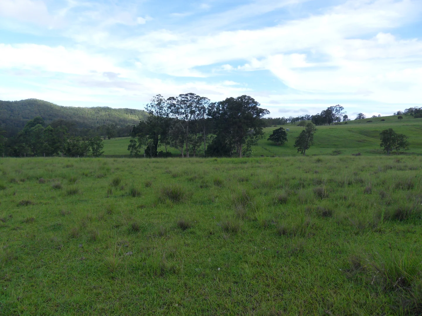 Additional image 22 of 665 Theresa Creek Road, Theresa Creek NSW 2469