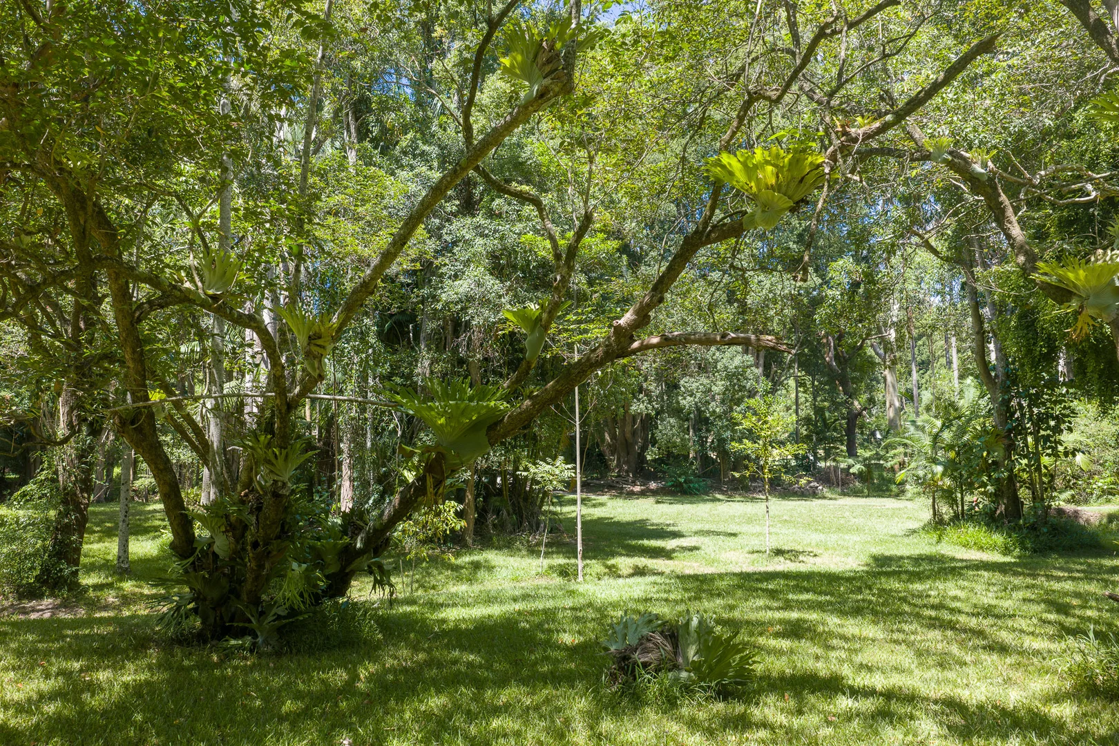 Additional image 25 of 63A Kingsvale Road, Myocum NSW 2481