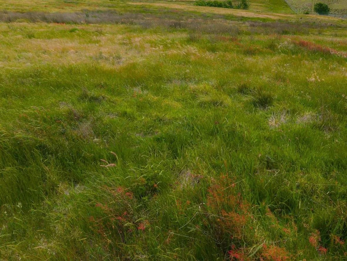 Additional image 8 of 83 Shinglehouse Road, Bywong NSW 2621