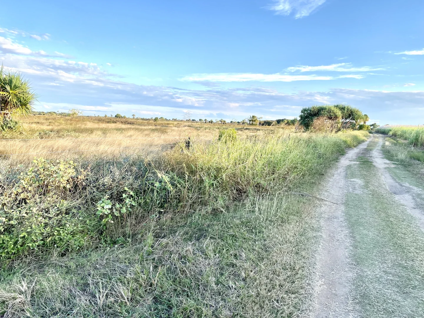 Additional image 12 of 118 Pyott Road, Airdmillan QLD 4807