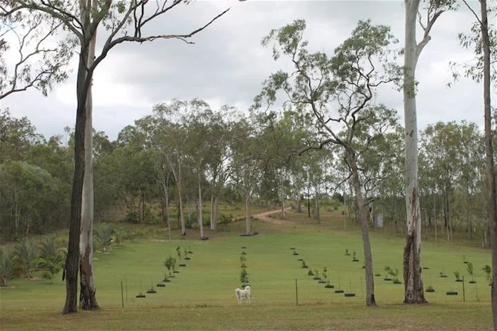 Additional image 5 of Moolboolaman QLD 4671