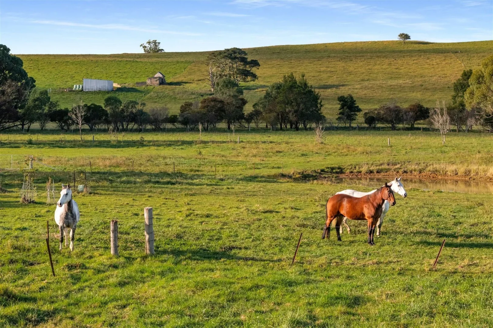 Additional image 17 of 138 Bibbys Lane, Werai NSW 2577