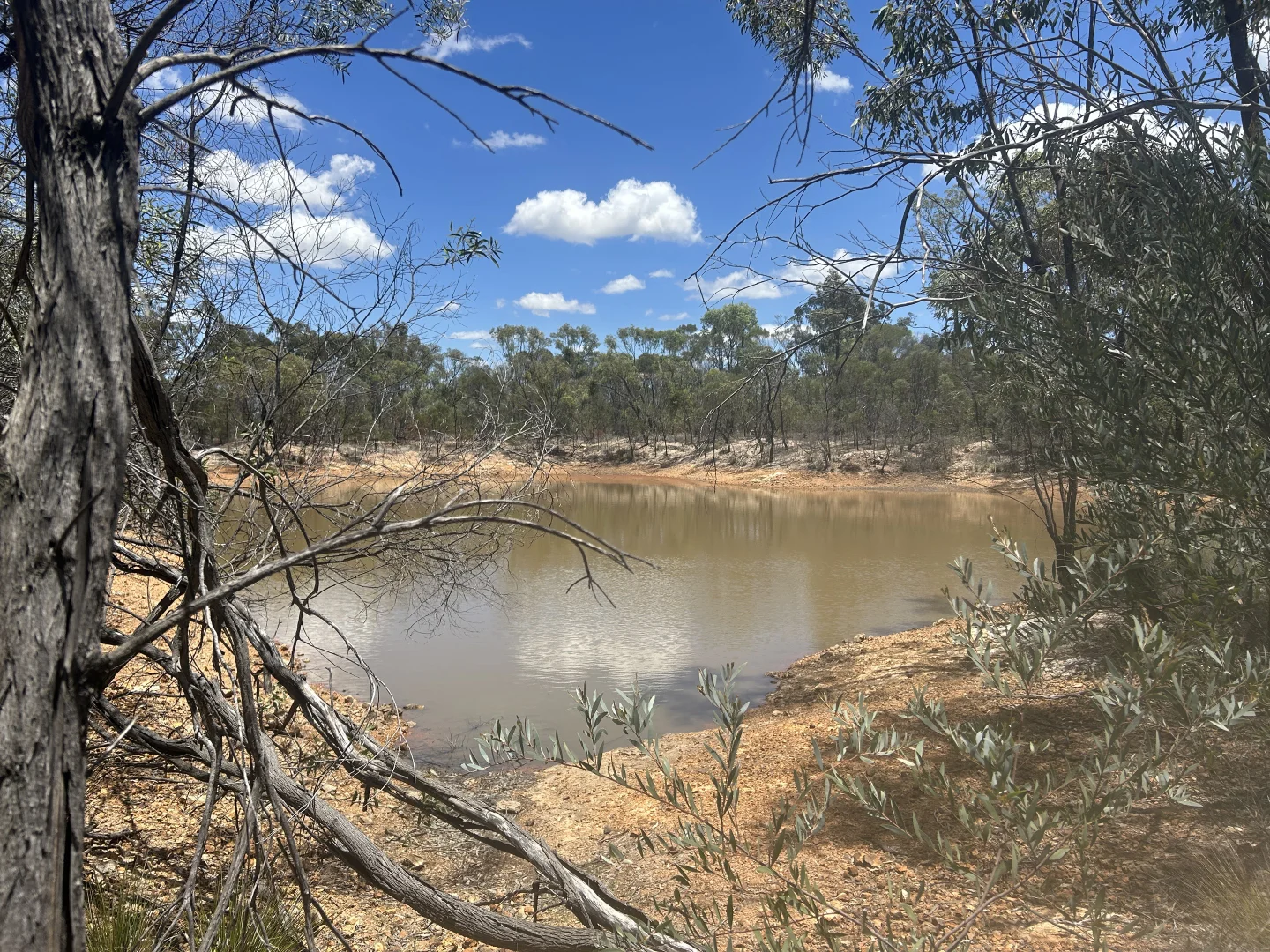 Additional image 26 of 1168 Males Drive, Tara QLD 4421