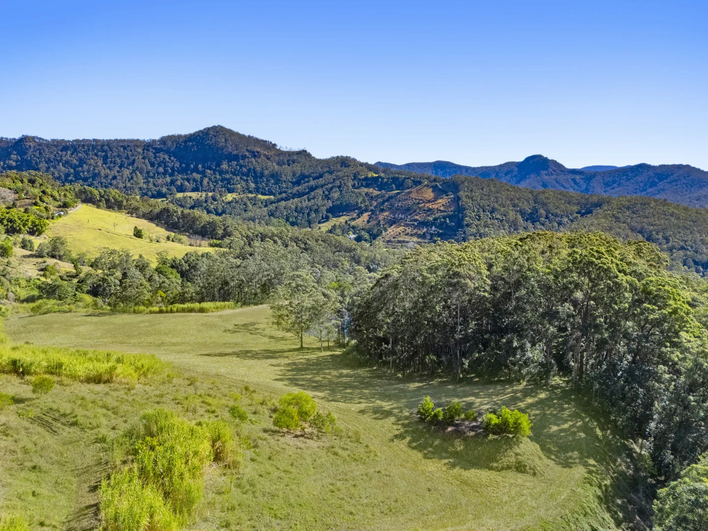 Additional image 18 of 193 Petsch Creek Road, Tallebudgera Valley QLD 4228