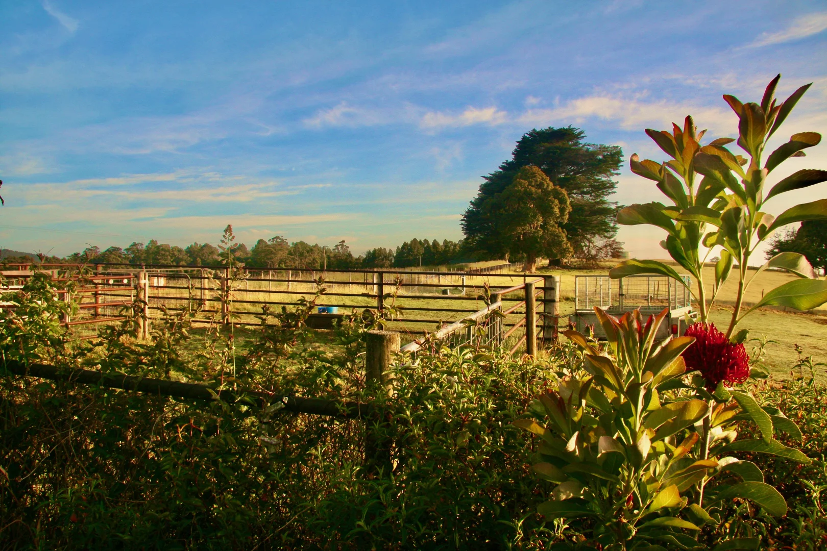 Additional image 8 of 470 Allison Rd, North Motton TAS 7315