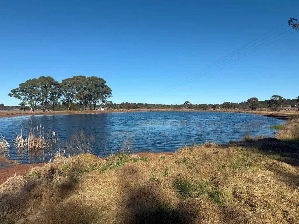 Additional image 8 of 79 Cottonvale School Rd, Cottonvale QLD 4375