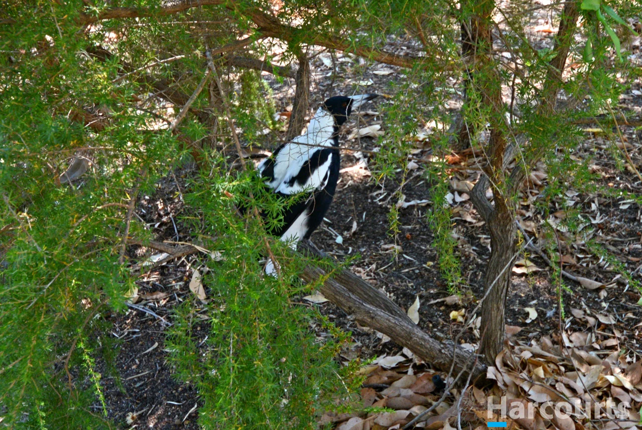 Additional image 32 of 5/2 Fenton Street, Mundaring WA 6073