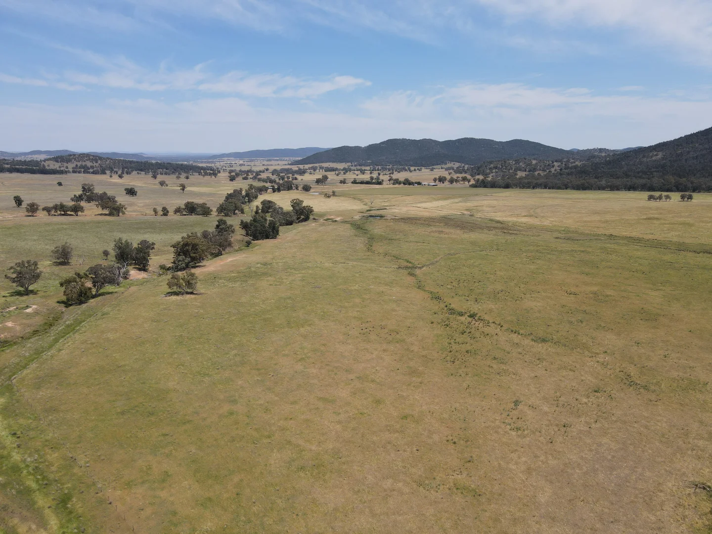 Additional image 10 of "Babynda" 829 Eulimore Road, Eugowra NSW 2806