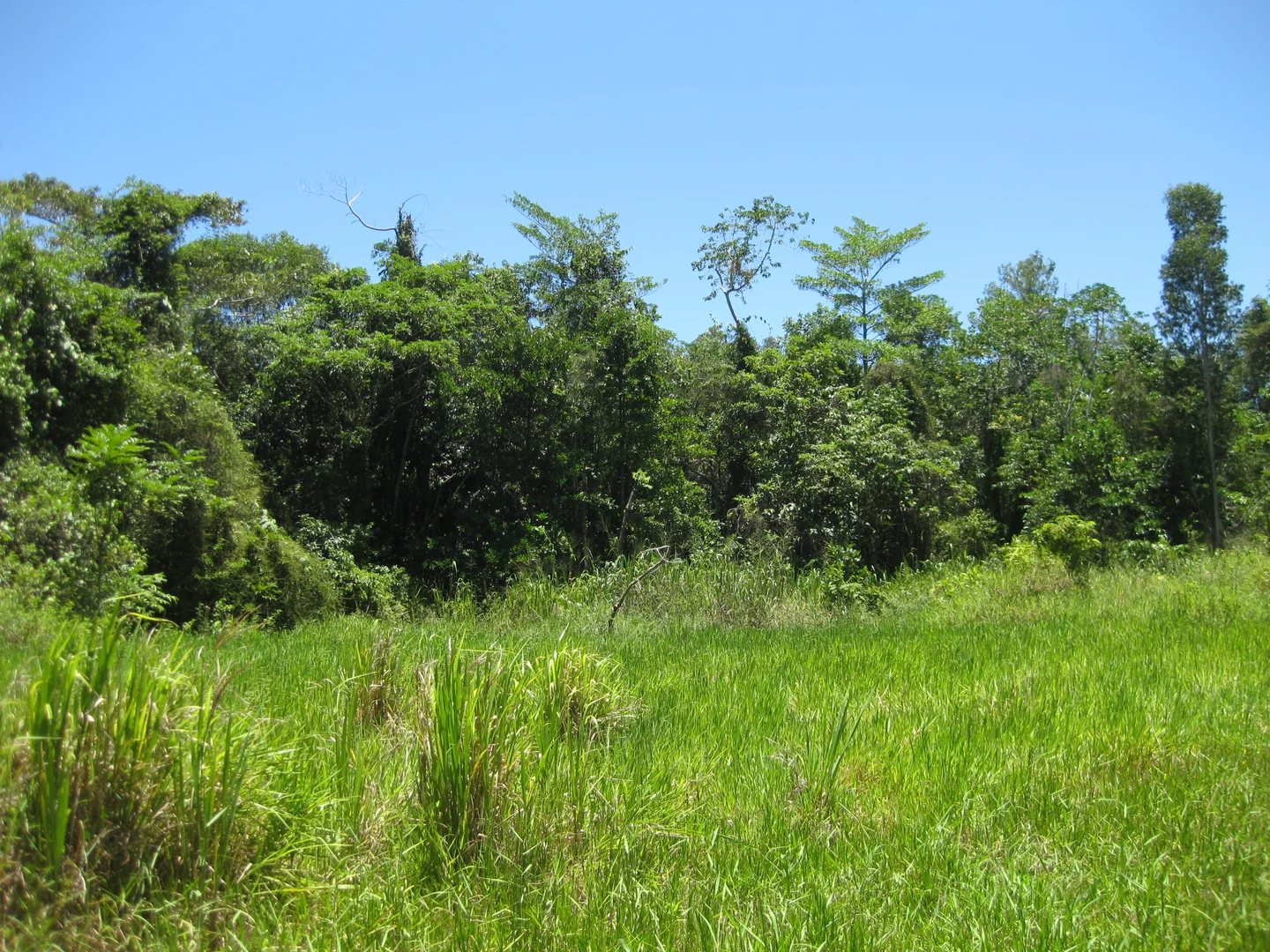 Additional image 5 of 0 Tully-Mission Beach Road, Wongaling Beach QLD 4852