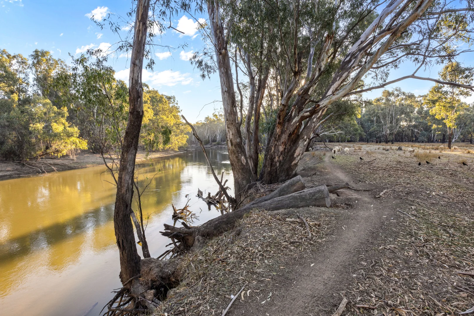 Additional image 4 of 2591 Old Narrandera Road, Currawarna NSW 2650