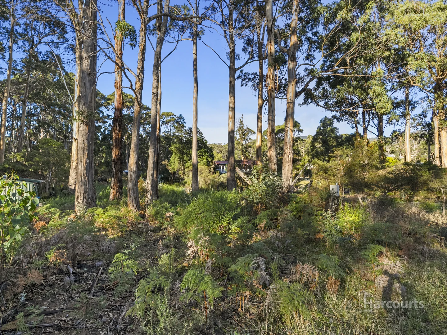 Additional image 6 of 334 Blowhole Road, Eaglehawk Neck TAS 7179