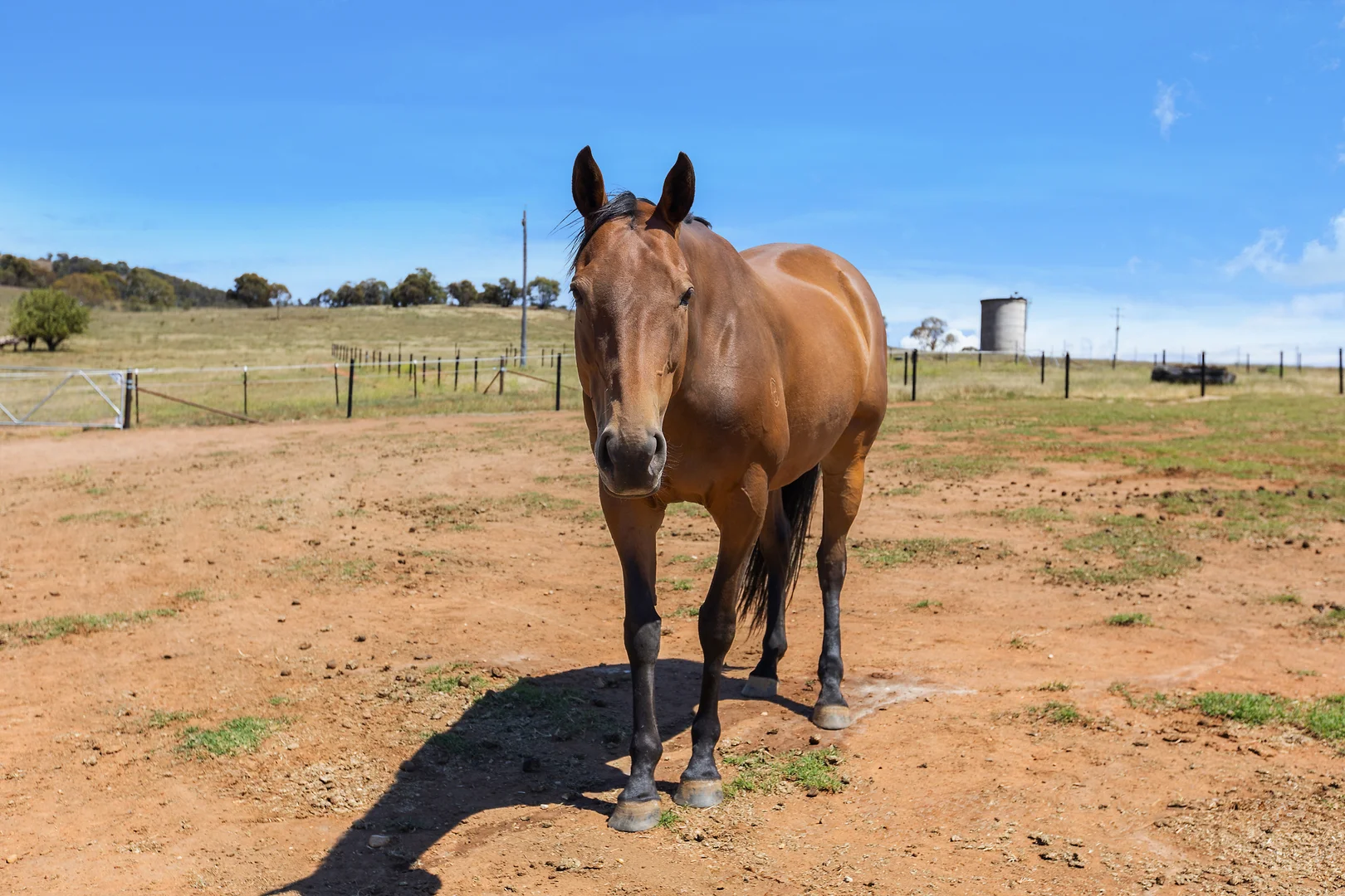 Additional image 5 of 12 Jindalee Street, Berridale NSW 2628