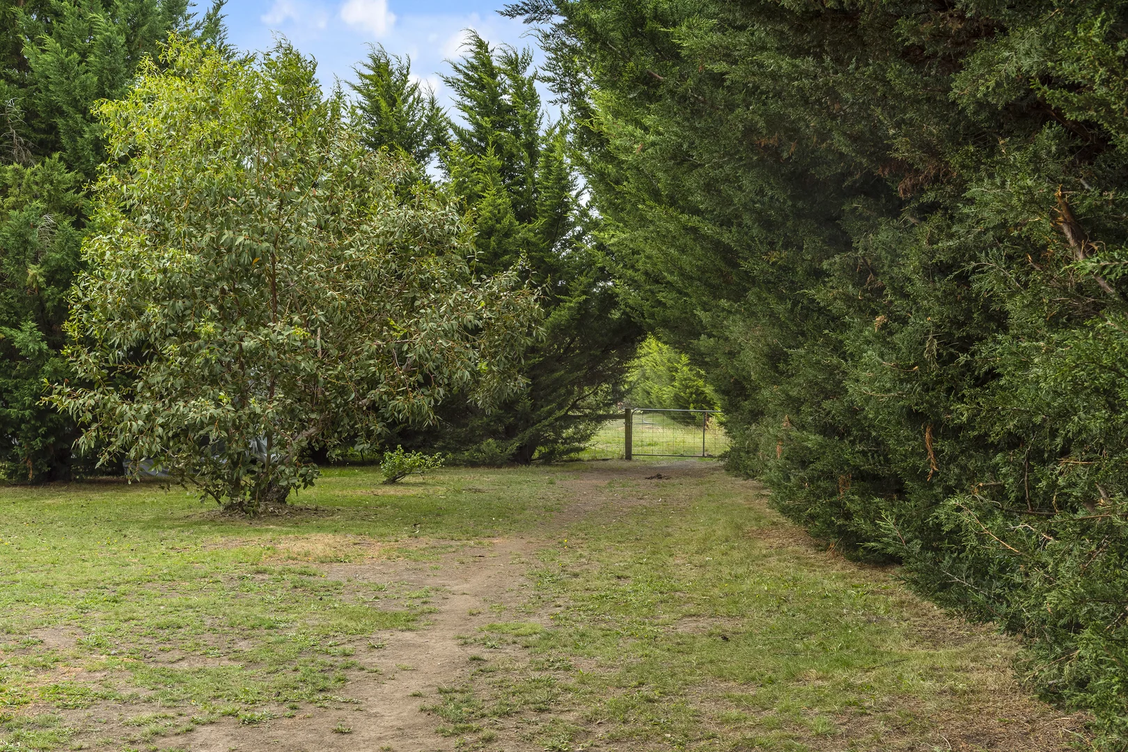 Additional image 29 of 44 Ross Street, Malmsbury VIC 3446