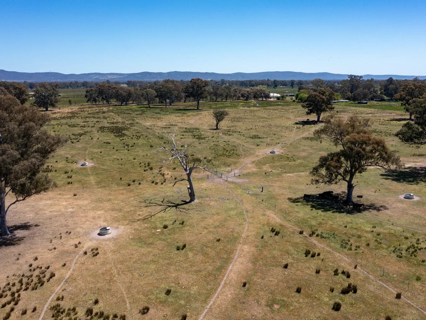 Additional image 7 of 377 Laceby-Targoora Road, Laceby VIC 3678