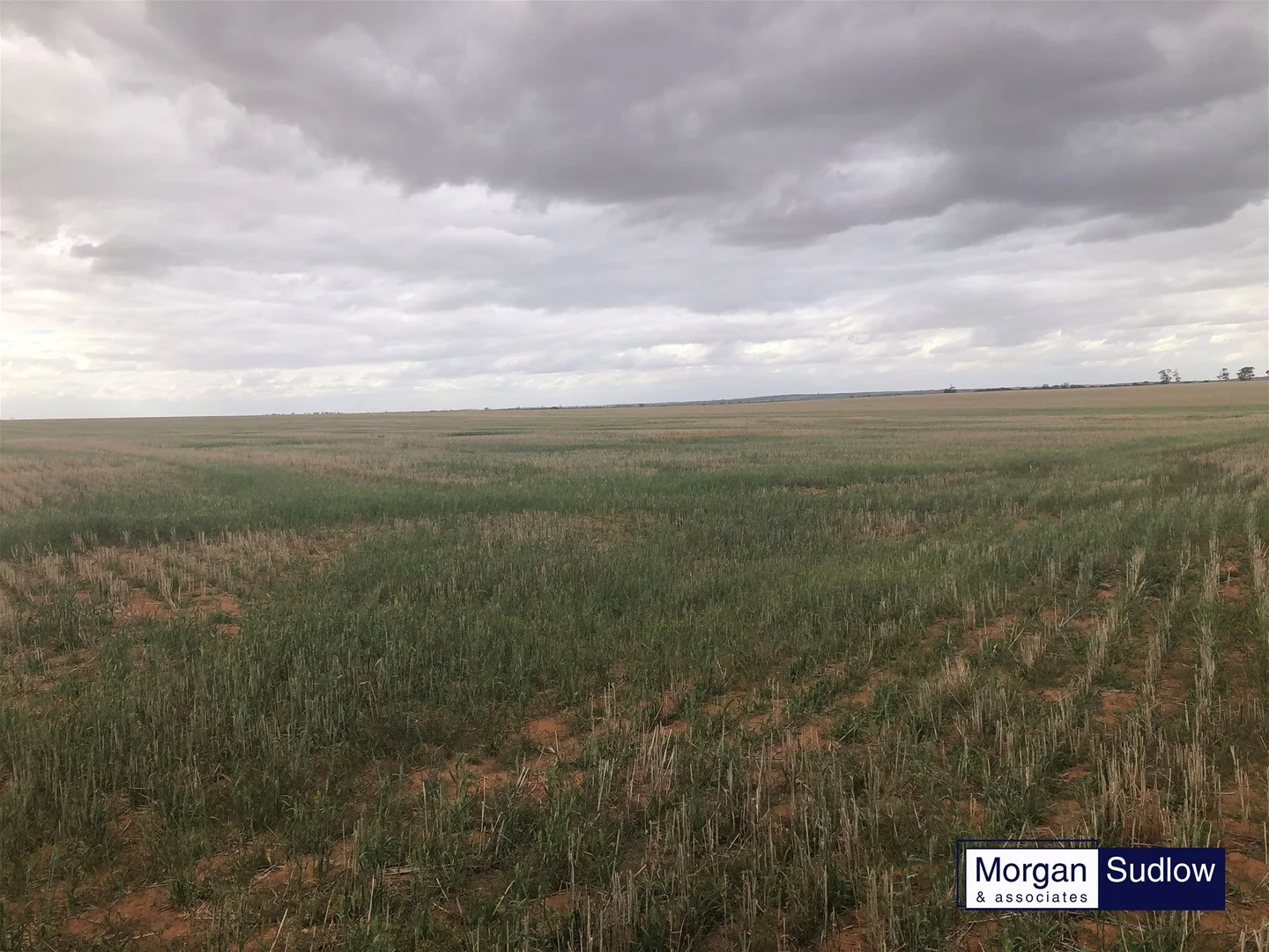 RURAL LANDHOLDING, Trayning WA 6488