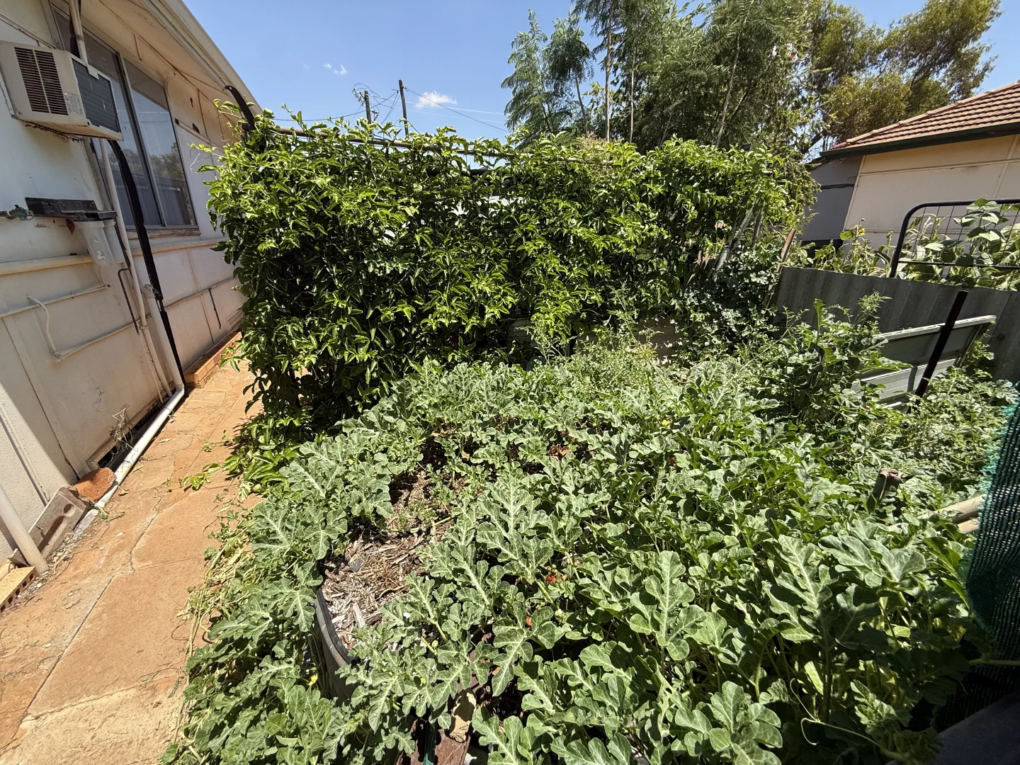 Additional image 11 of 65 Milloy Street, Morawa WA 6623