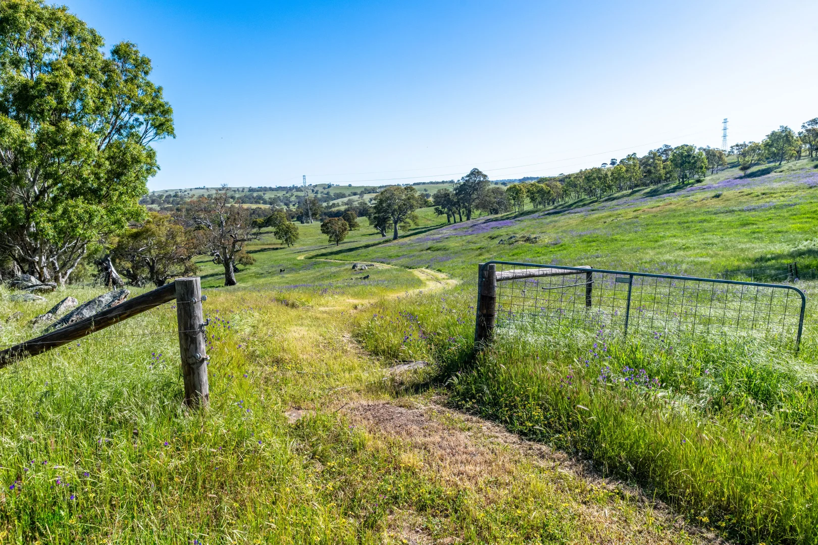 Additional image 29 of 312 Collins Road, Tungkillo SA 5236