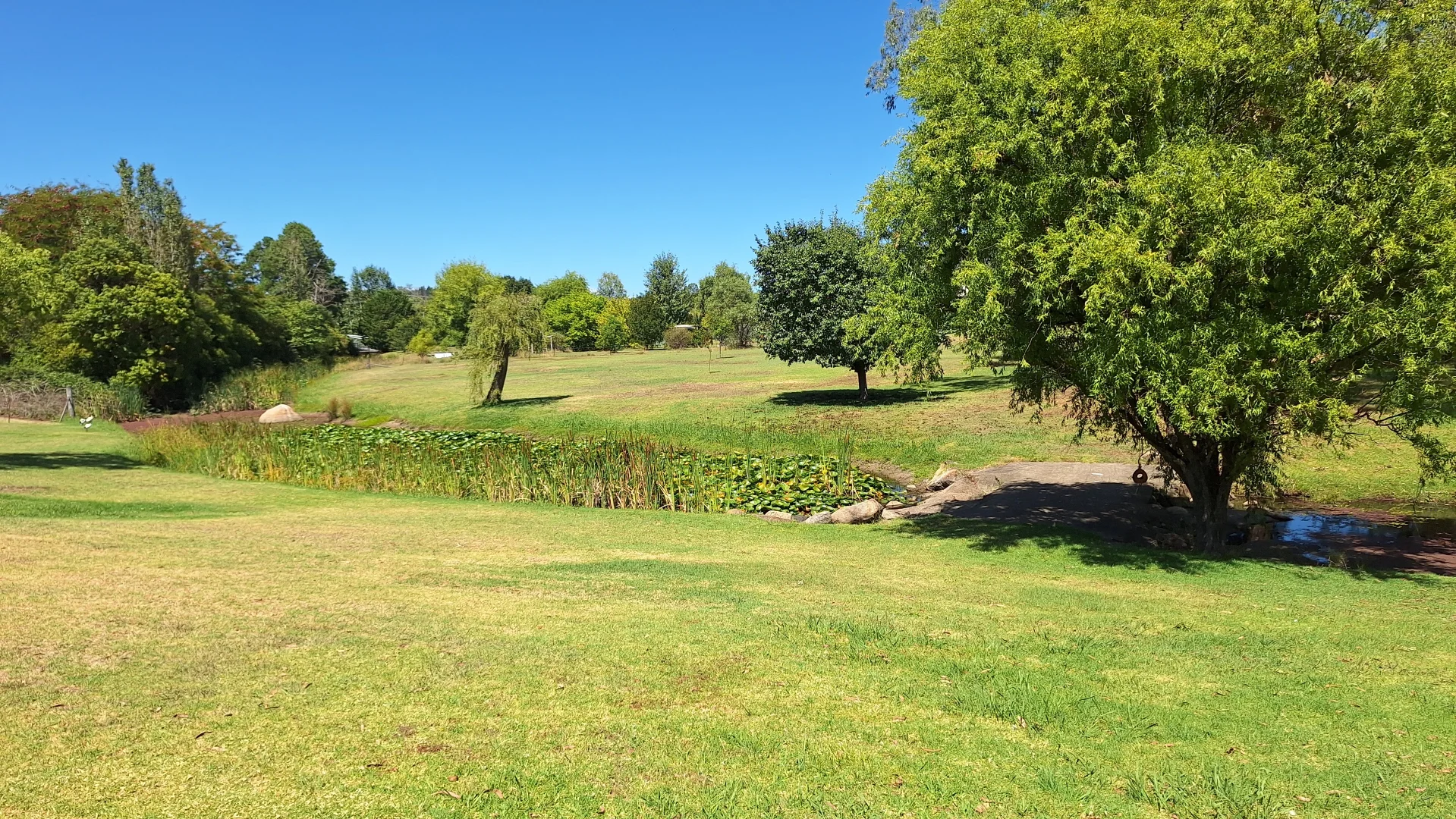 Additional image 17 of 60 Connor St, Stanthorpe QLD 4380