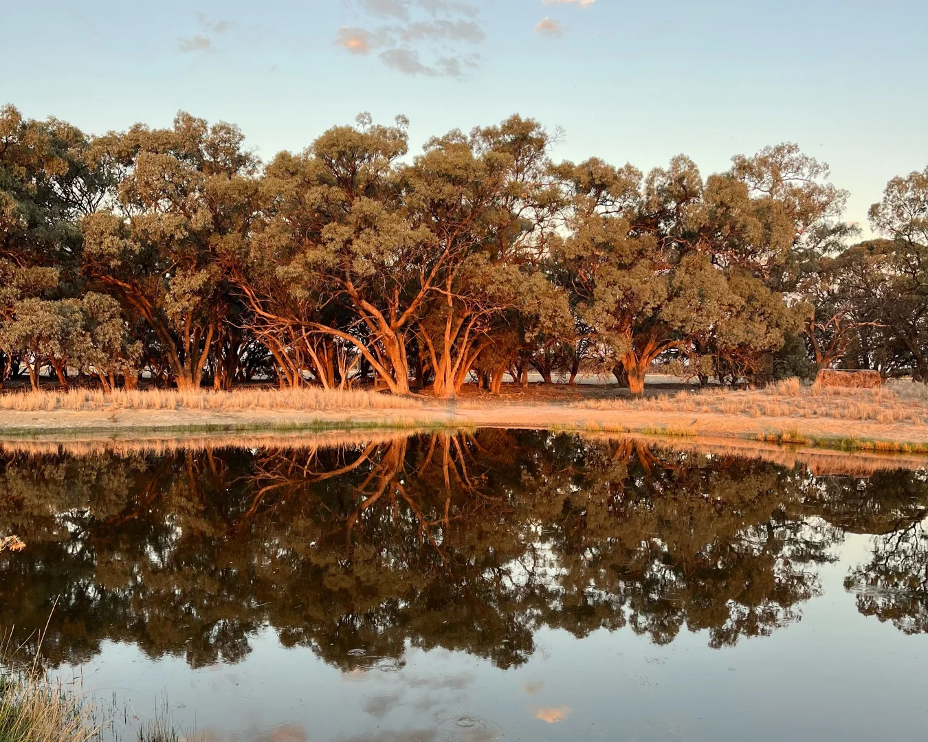 Additional image 30 of 520 Mayrung Road, Finley NSW 2713