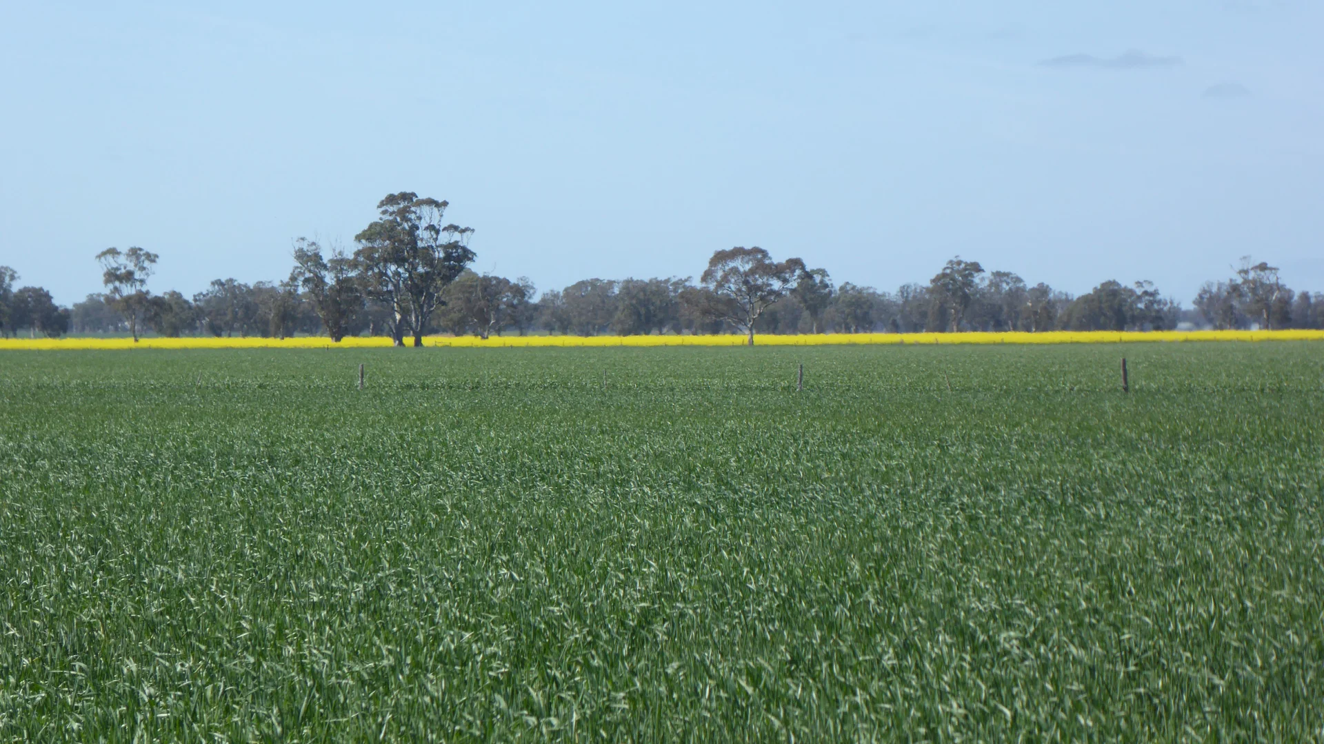 Additional image 6 of 139 Packer Road, Bordertown South SA 5268