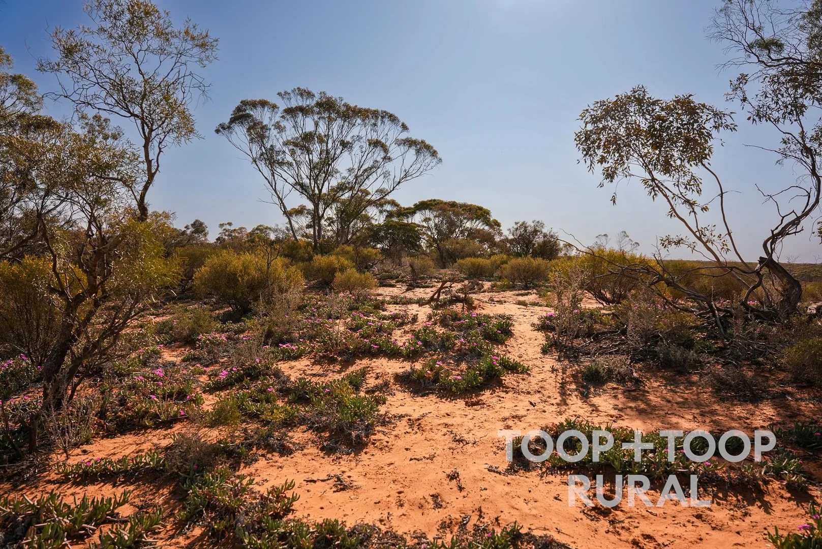 Additional image 3 of 1265 Warnecke Road, Monash SA 5342