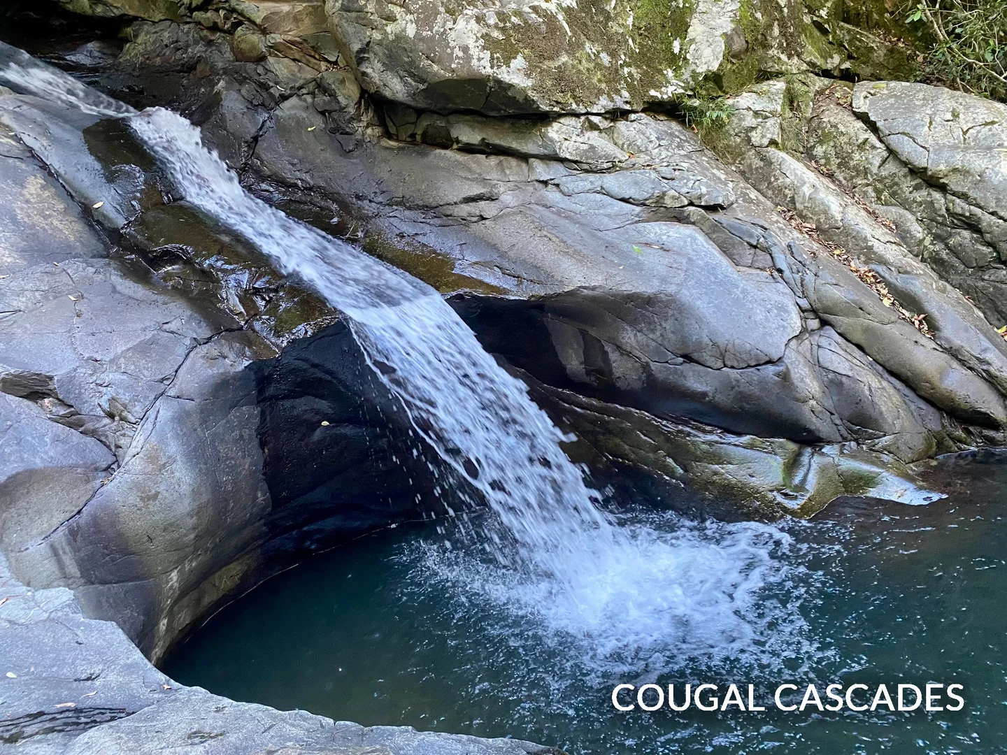 Additional image 33 of 1318 Currumbin Creek Road, Currumbin Valley QLD 4223