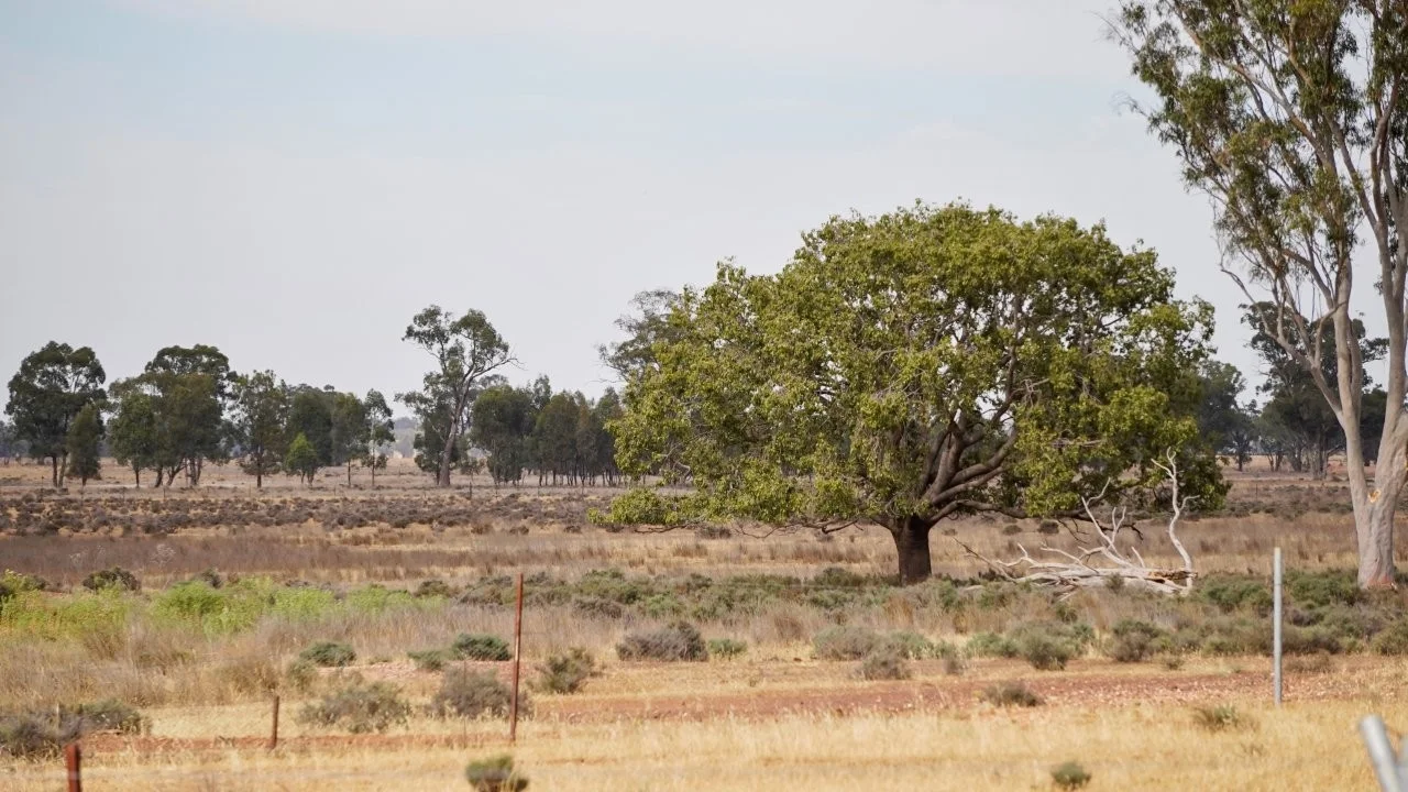 Additional image 9 of 2633 Bruie Plains Road, Bruie Plains NSW 2875