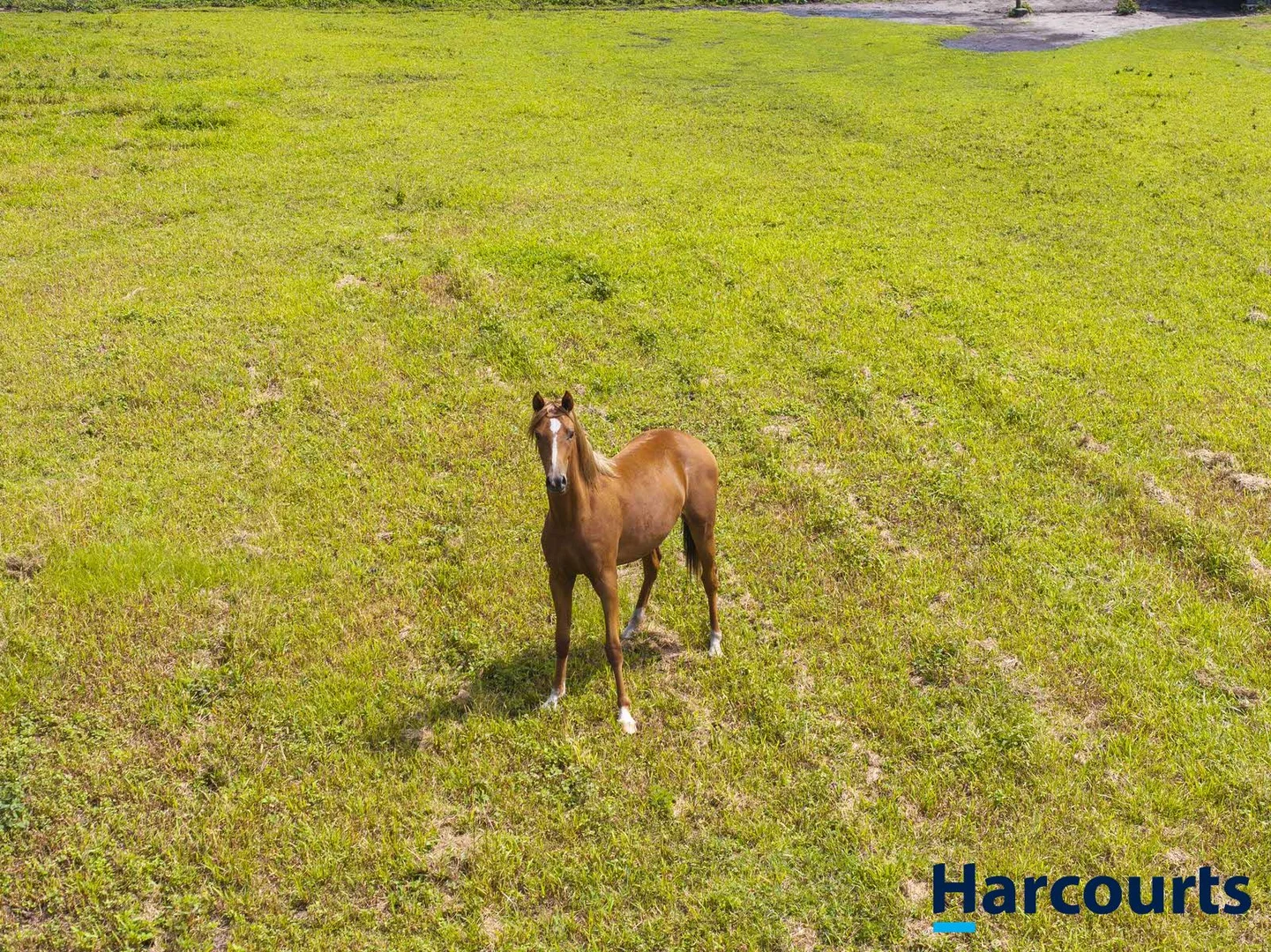 Additional image 56 of 406 Old Bagotville Road, Bagotville NSW 2477