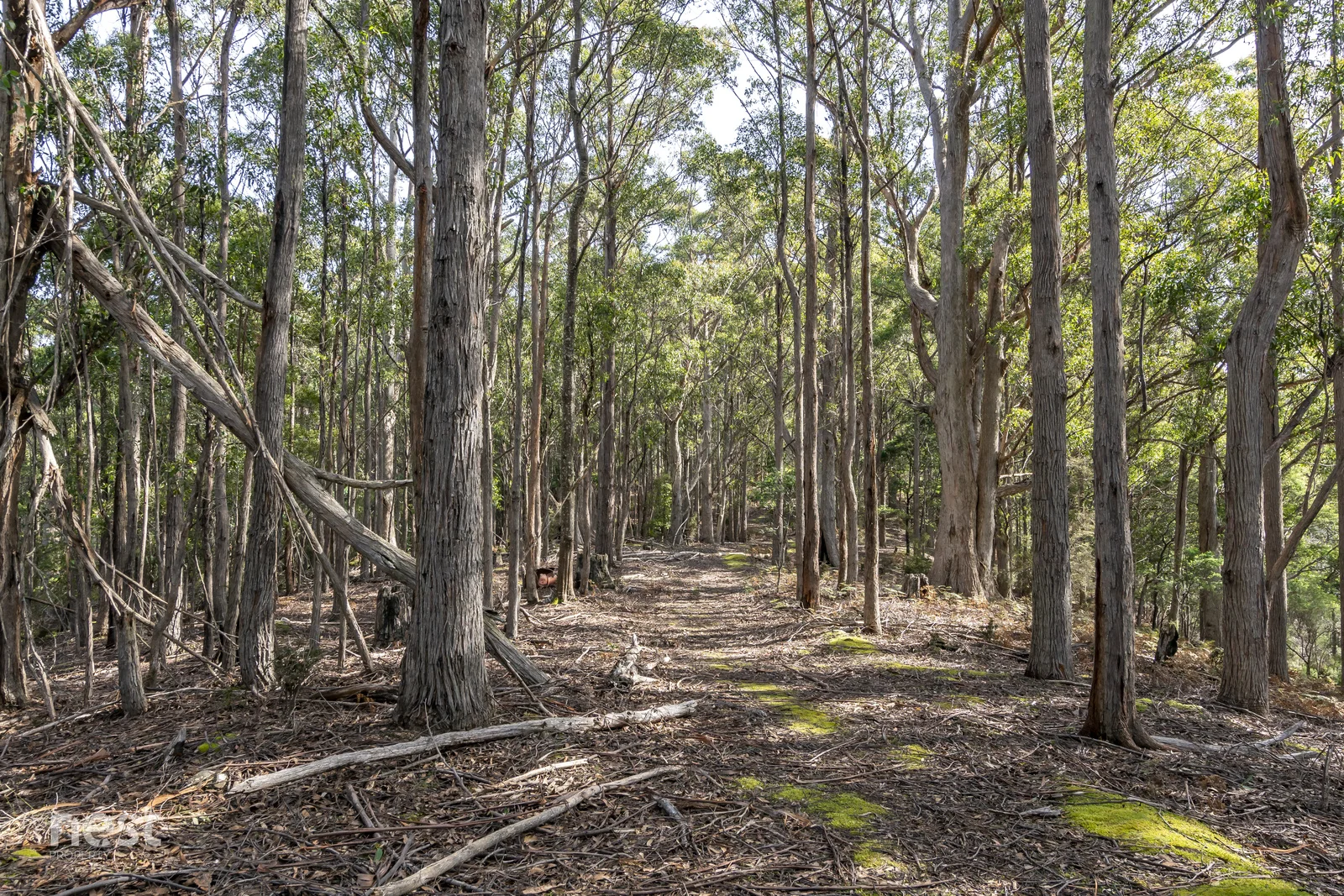 Additional image 10 of 405 Whittons Road, Kettering TAS 7155