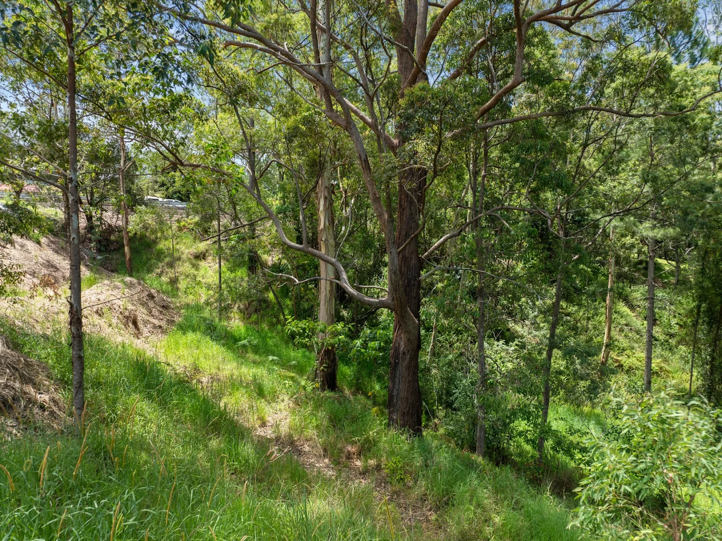 Additional image 17 of 612-618 Henri Robert Drive, Tamborine Mountain QLD 4272