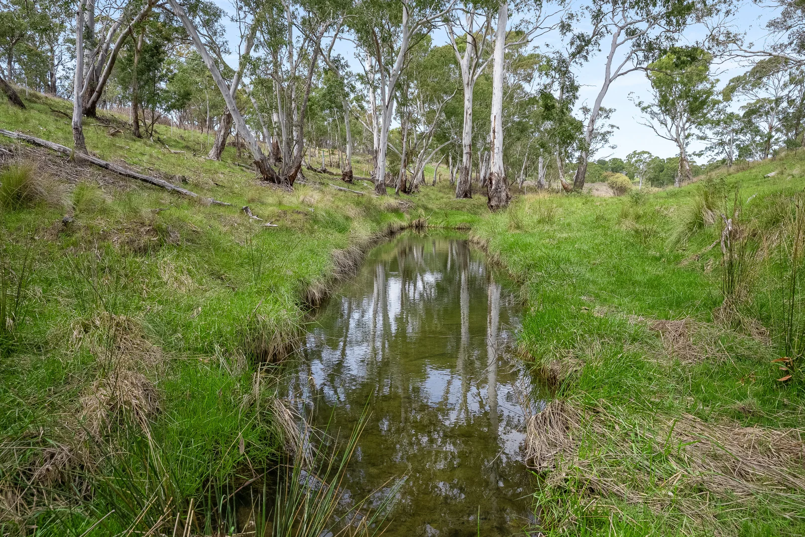 Additional image 6 of 4 Grandview Place, Portland NSW 2847