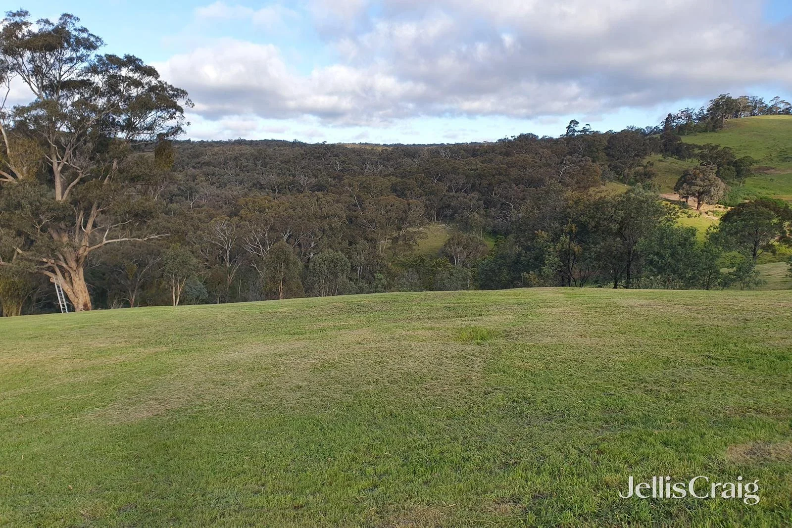 Additional image 12 of 153 Charlies Road, Elevated Plains VIC 3461