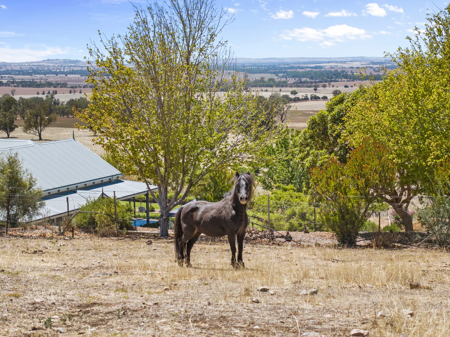 Additional image 36 of 59 McLartys Road, The Gap NSW 2650