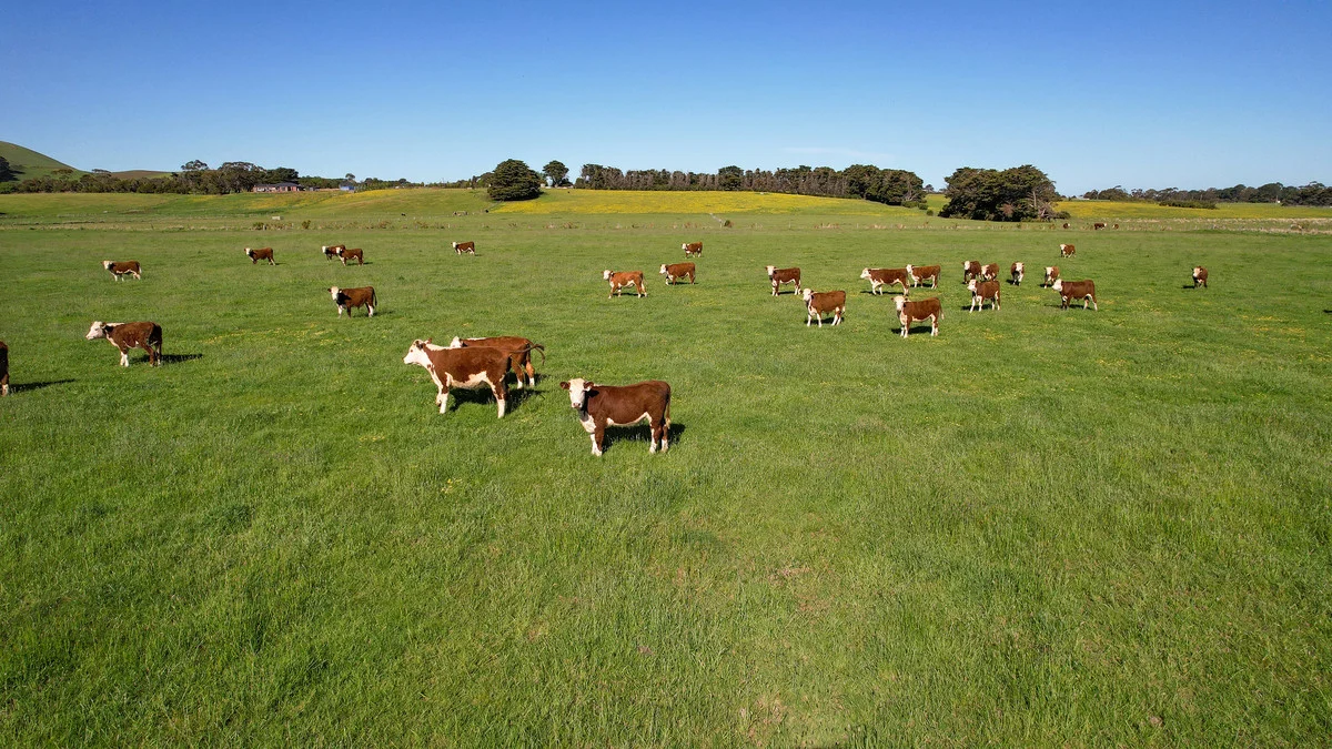 Additional image 8 of Holdsworths Lane, Mortlake VIC 3272