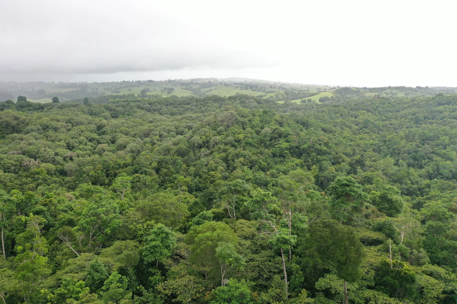 Additional image 35 of Lot 213 Kelly Road, Ellinjaa QLD 4886