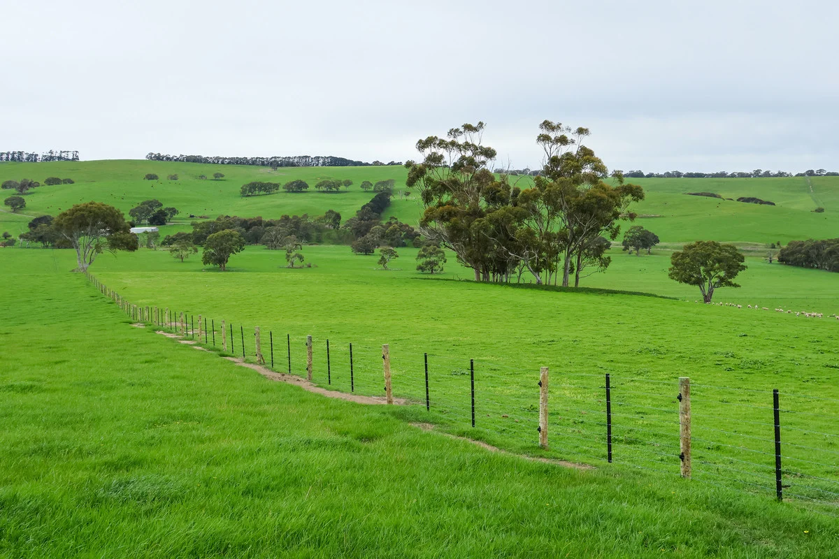 Additional image 22 of 649 Coleraine - Balmoral Road, Wootong Vale VIC 3315