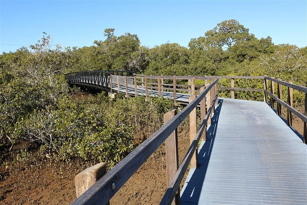 Additional image 13 of 233 Whites Road, Lota QLD 4179