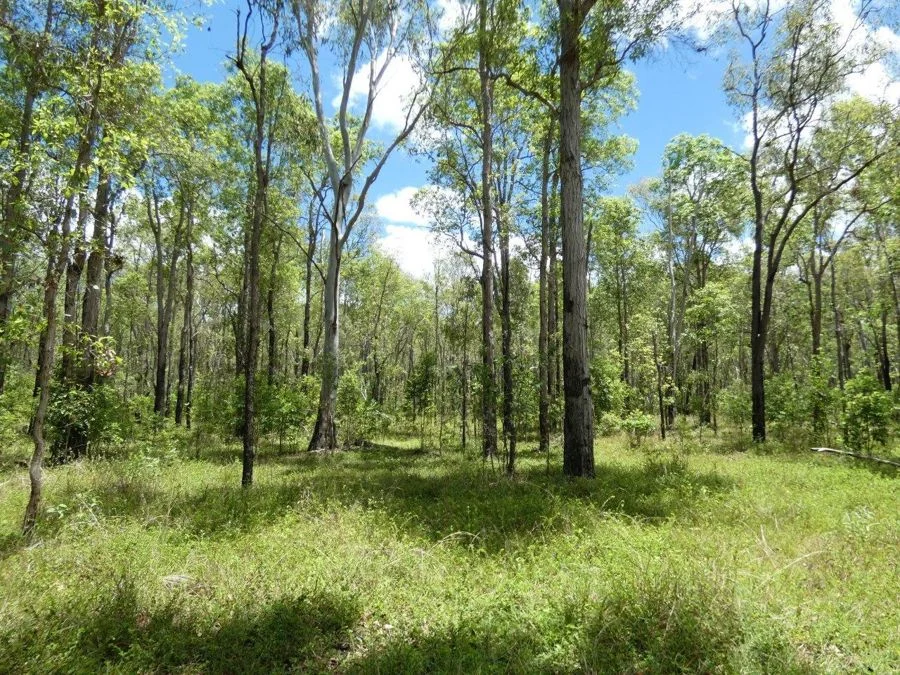 Additional image 29 of 277 Bushlands Road, Bororen QLD 4678