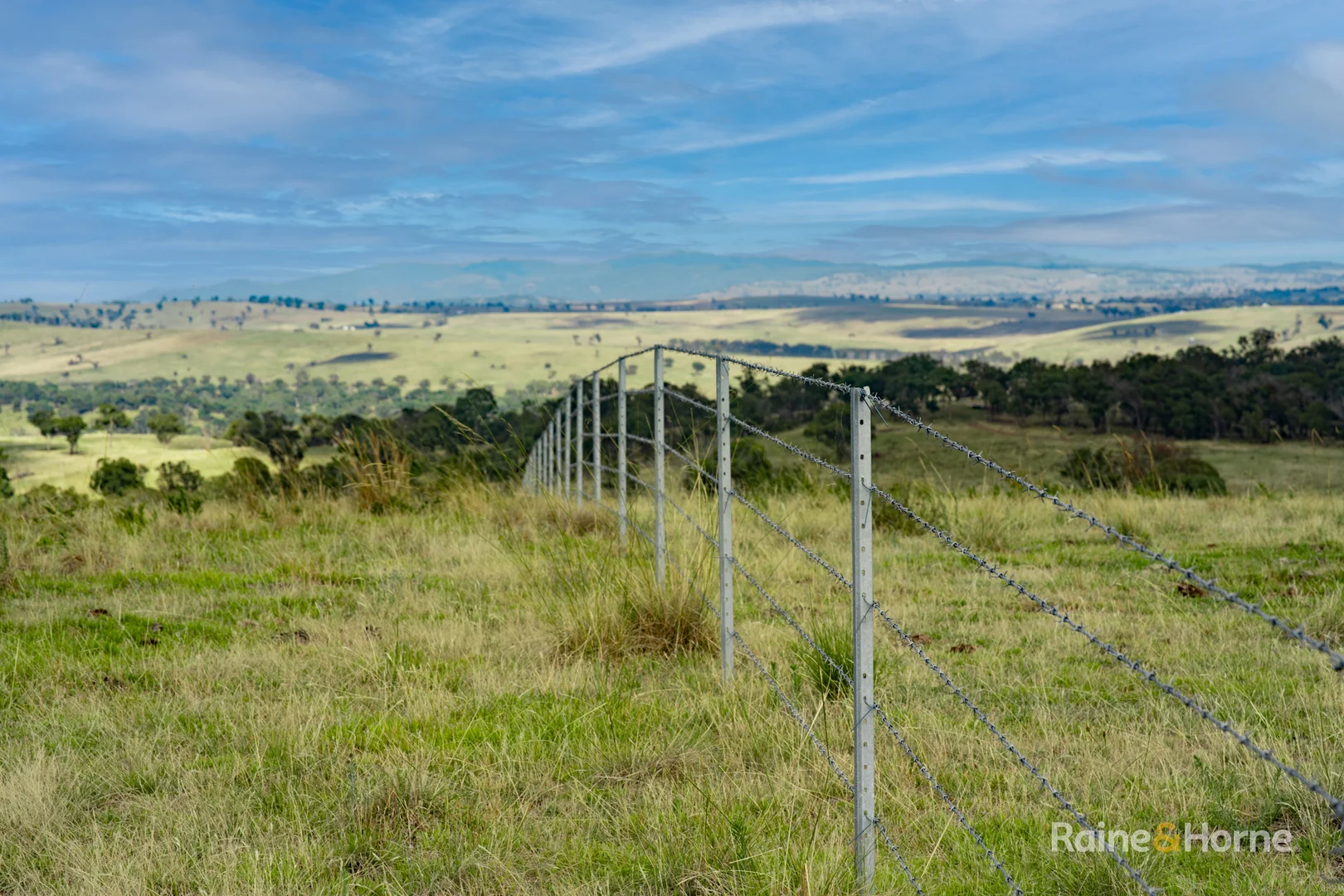 Additional image 5 of 733 Niangala Road, Woolbrook NSW 2354