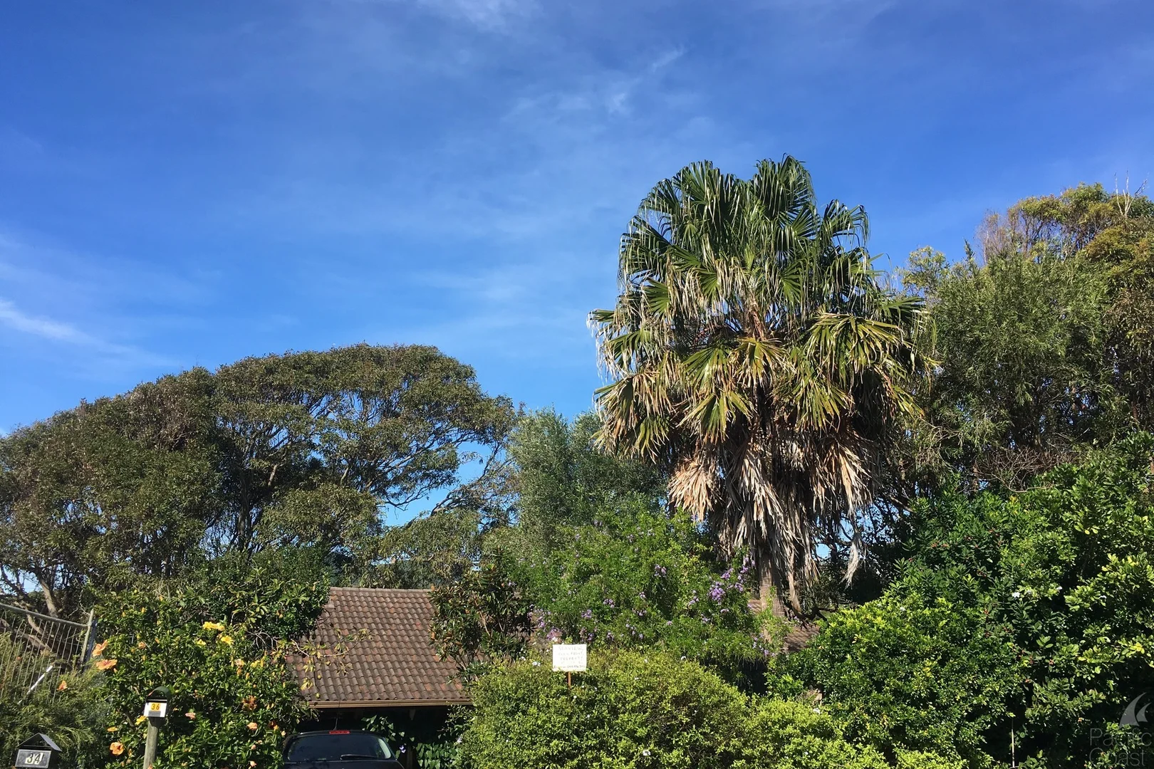 Additional image 18 of 36 Seaview Street, Forster NSW 2428