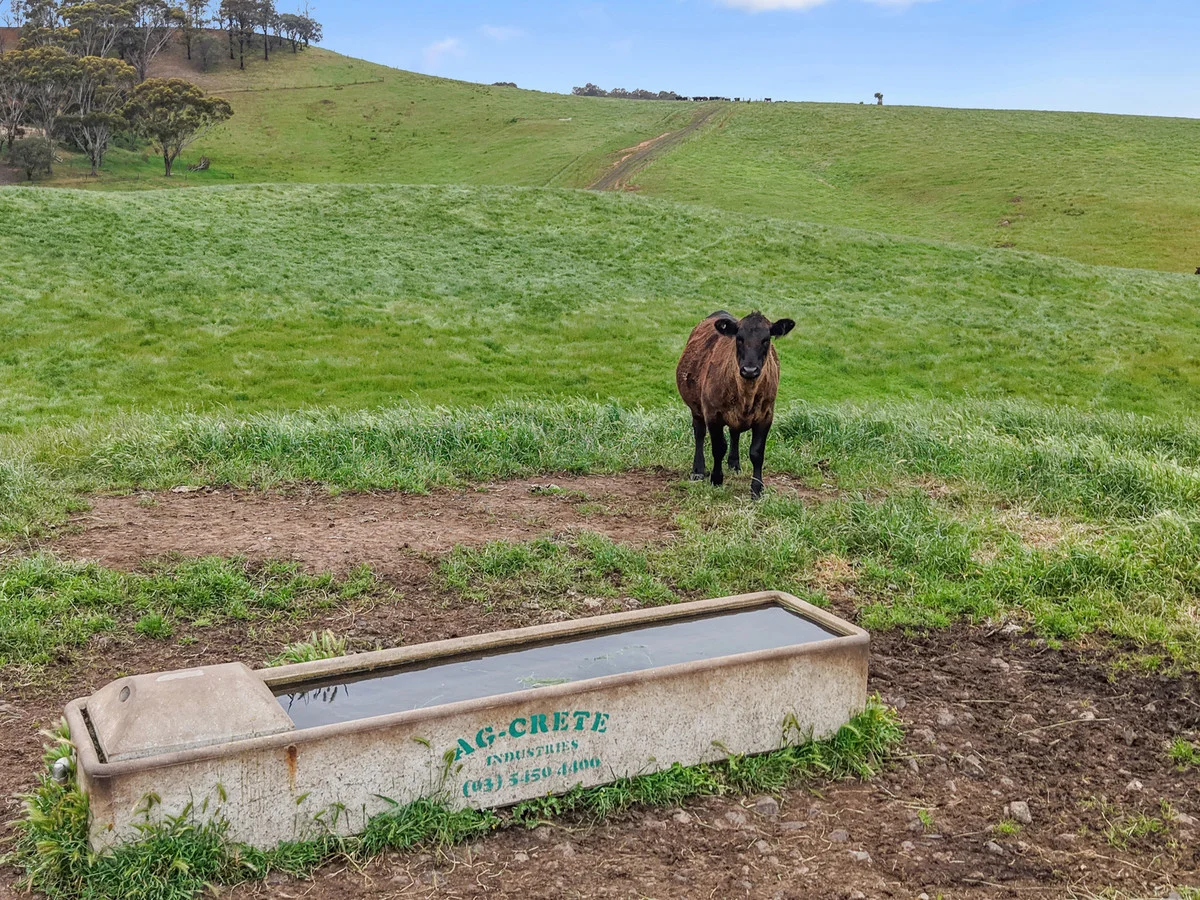 Additional image 23 of 64 Ford Luers Road, Casterton VIC 3311
