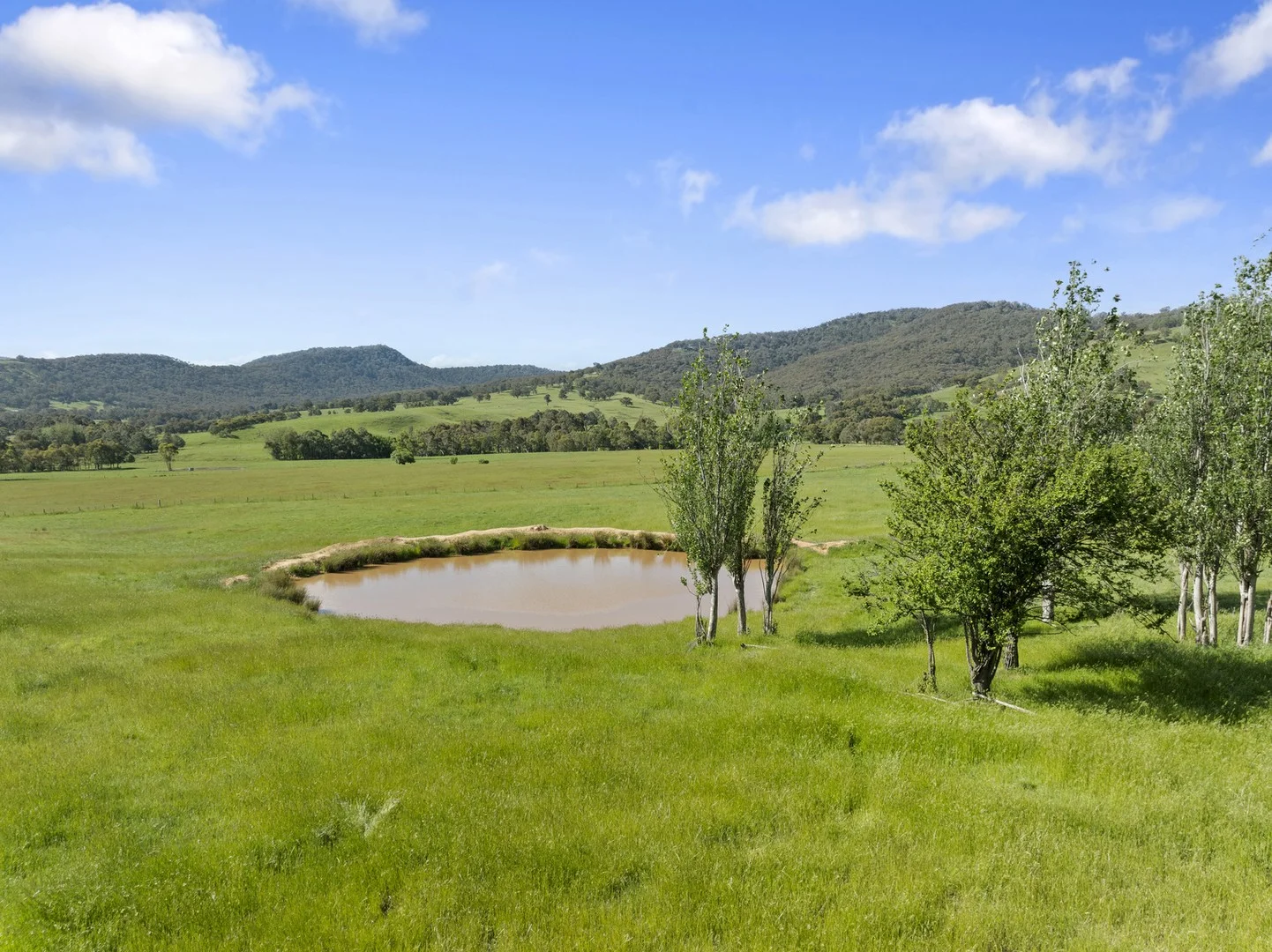1477 Mansfield-Whitfield Road, Bridge Creek VIC 3723