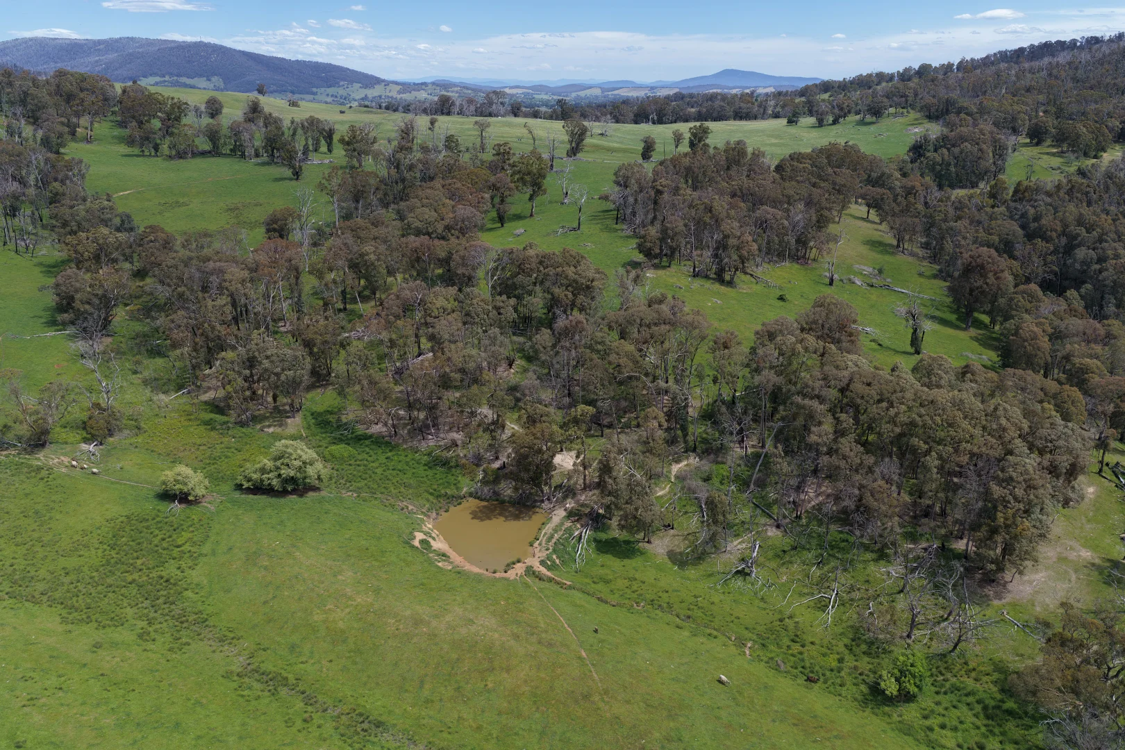 Additional image 2 of 954 Courabyra Road, Tumbarumba NSW 2653