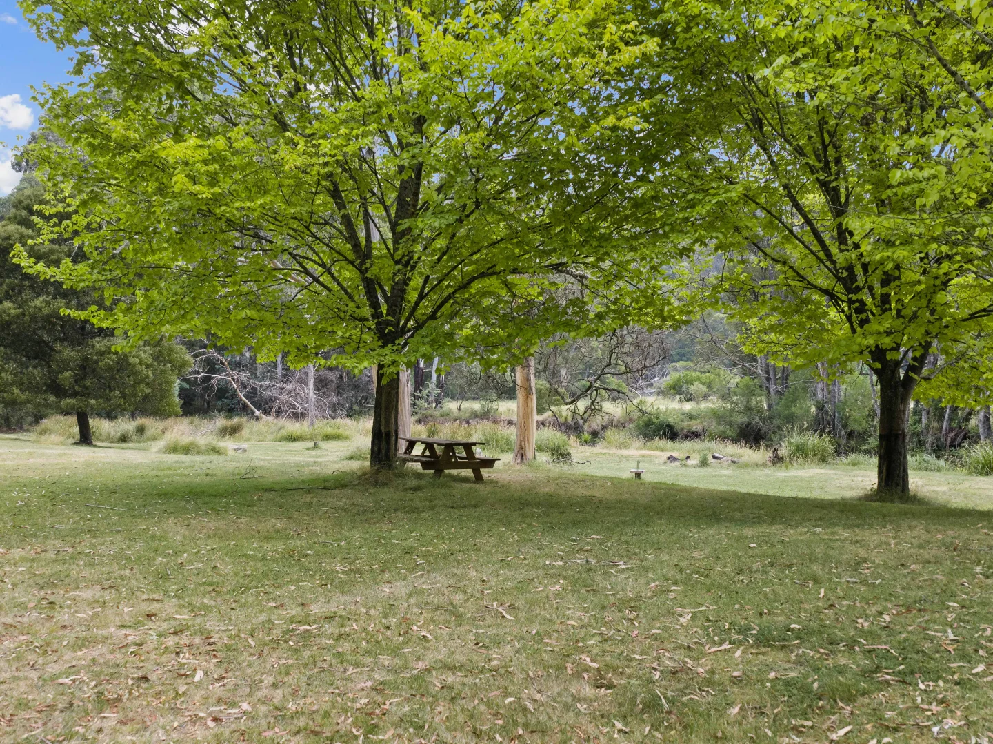 Additional image 20 of 2633 Mt Buller Road, Merrijig VIC 3723