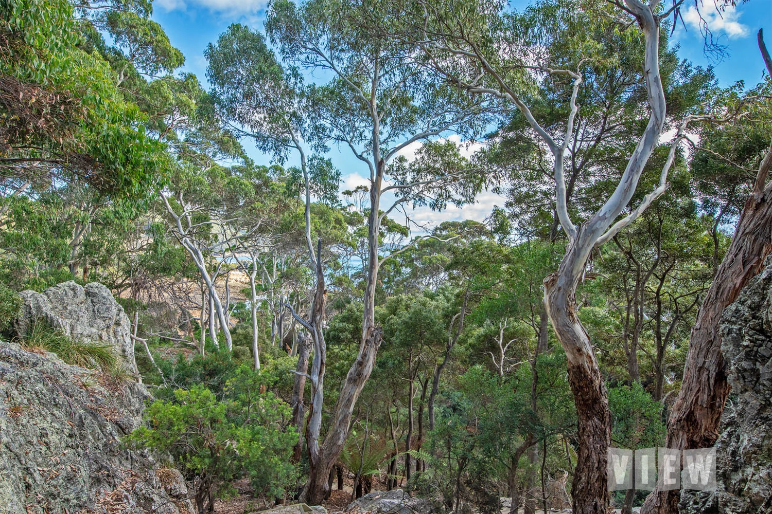 Additional image 28 of 317 Port Road, Boat Harbour Beach TAS 7321