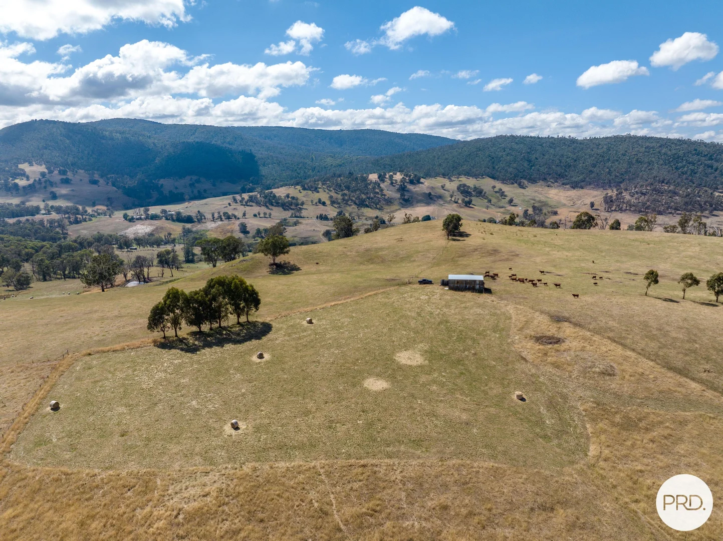 Additional image 13 of 1100 Batlow Road, Tumbarumba NSW 2653