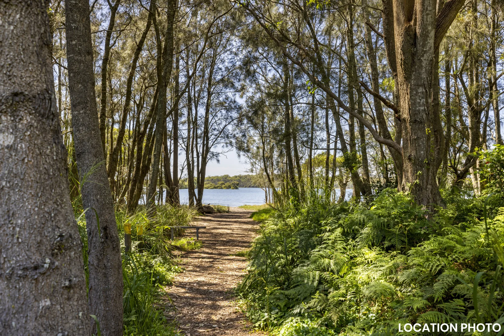 Additional image 10 of 18 Shearman Avenue, Lemon Tree Passage NSW 2319