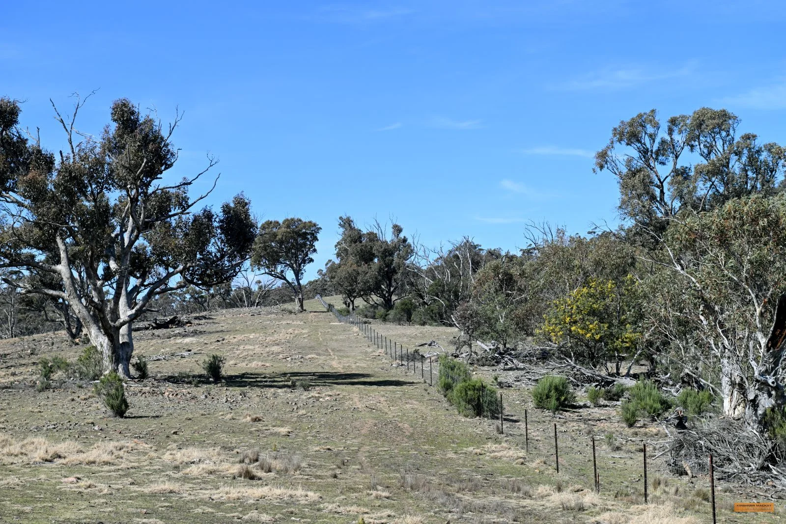 Additional image 18 of "The Top Paddock" Bairds Crossing Road, Dalgety NSW 2628