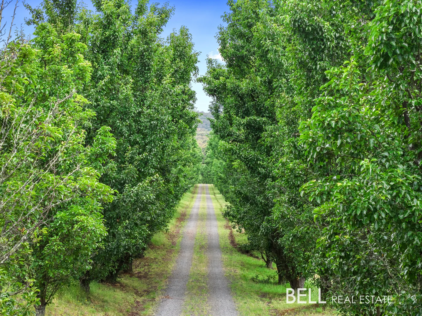 Additional image 35 of 740 Little Yarra Road, Gladysdale VIC 3797